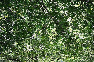 传闻被否认 动视确认《使命召唤：现代战争3》售价70美元