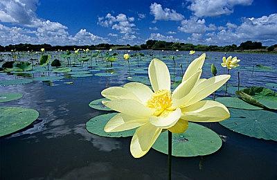 RTX4090运行《暗黑4》4K最高设置+光追 画面超好